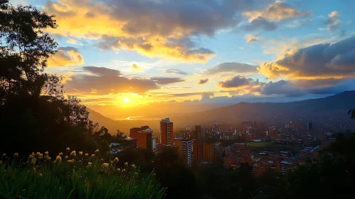 Urban Sunset View