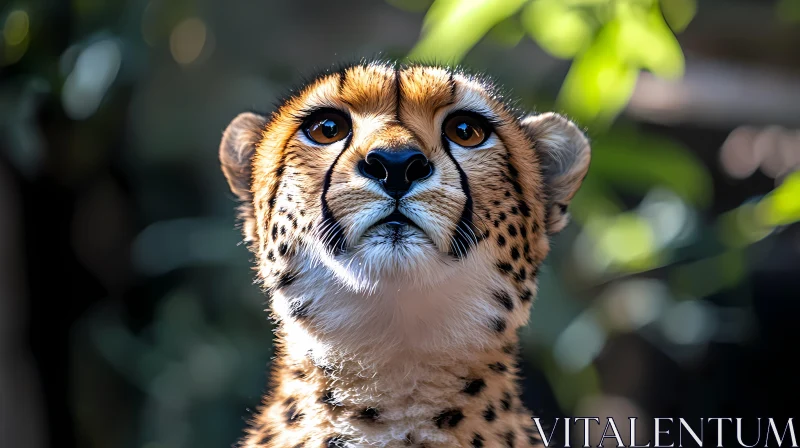 Cheetah Portrait in Nature AI Image