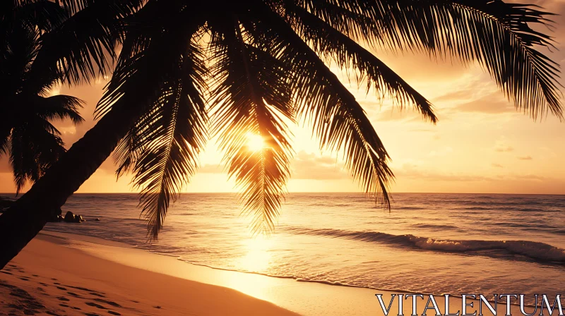 Palm Trees Silhouetted at Sunset