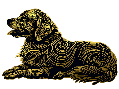 Golden Retriever Line Art for T-Shirt Printing