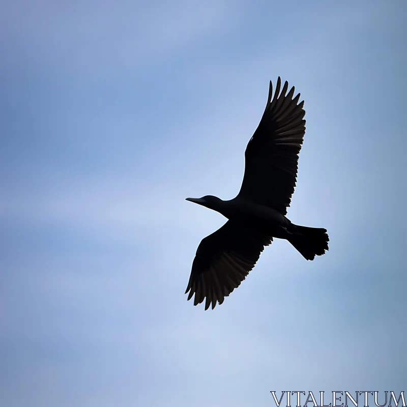 Bird in Flight: A Skyward Journey AI Image