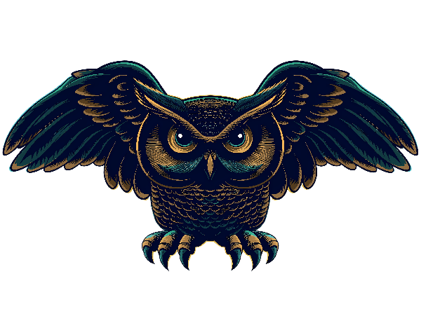 POD Design Owl Illustration with Outstretched Wings