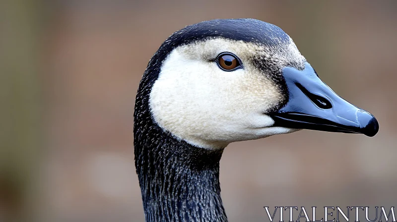 AI ART Goose Head Study, Avian Close-Up