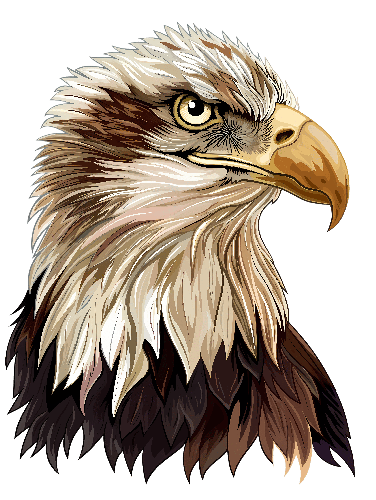 POD Design Eagle Head Illustration - Digital Art with Transparent Background