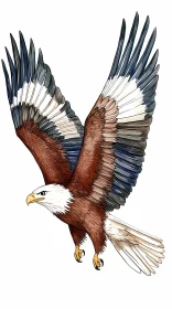 Eagle Soaring High Artwork