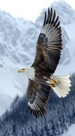 Majestic Eagle in Alpine Air