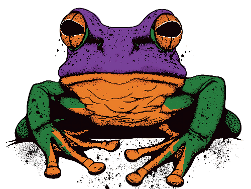 POD Design Stylized Frog Design for Apparel and Merchandise