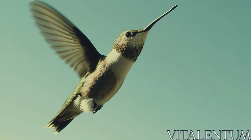 Delicate Hummingbird Soaring AI Image