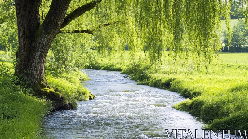 Peaceful Riverine Scene with Lush Greenery AI Image