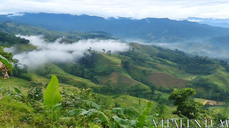 Foggy Tropical Landscape in the Mountains AI Image