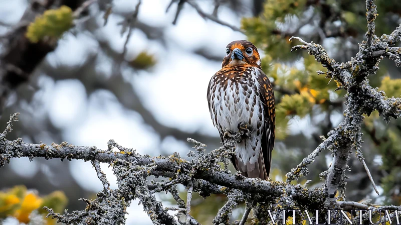 Bird on a Tree Branch AI Image