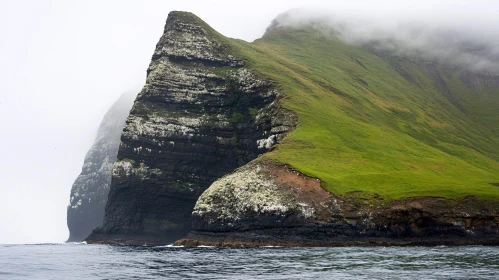 Misty Coastal Cliff with Lush Greenery