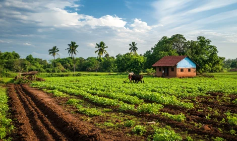 Rural Agriculture Landscape with Traditional Farming