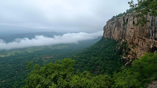 Lush Forest and Towering Cliff