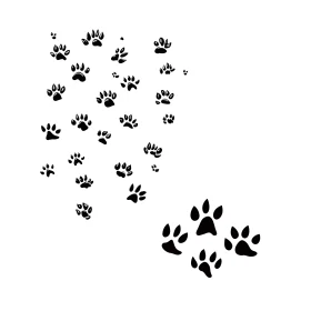 Animal Paw Prints in Silhouette