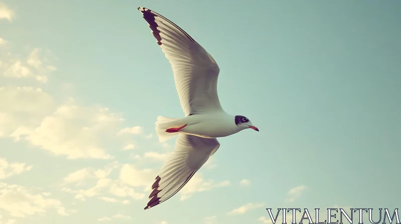 Bird Flying in the Sky AI Image