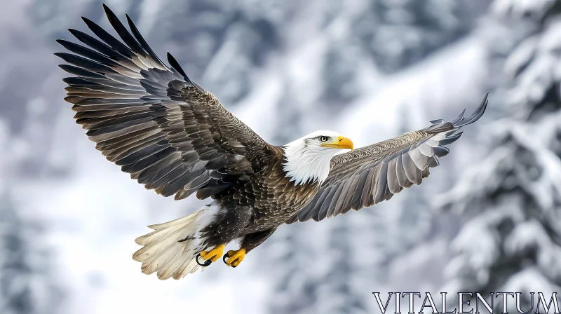 Eagle Soaring Over Snow AI Image