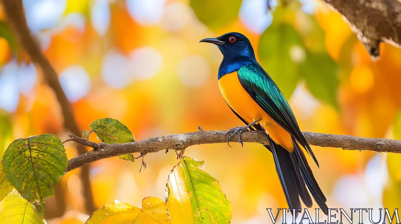 Colorful Plumage Bird in Natural Habitat AI Image