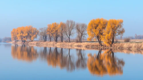 Golden Autumn Foliage Reflected in River Waterscape