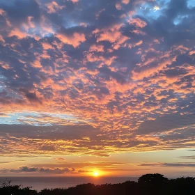 Ocean Sunset with Pink Clouds