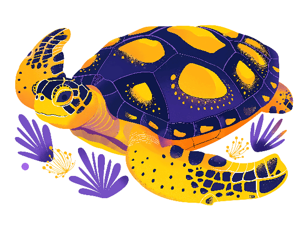 Vibrant Turtle Design POD Design