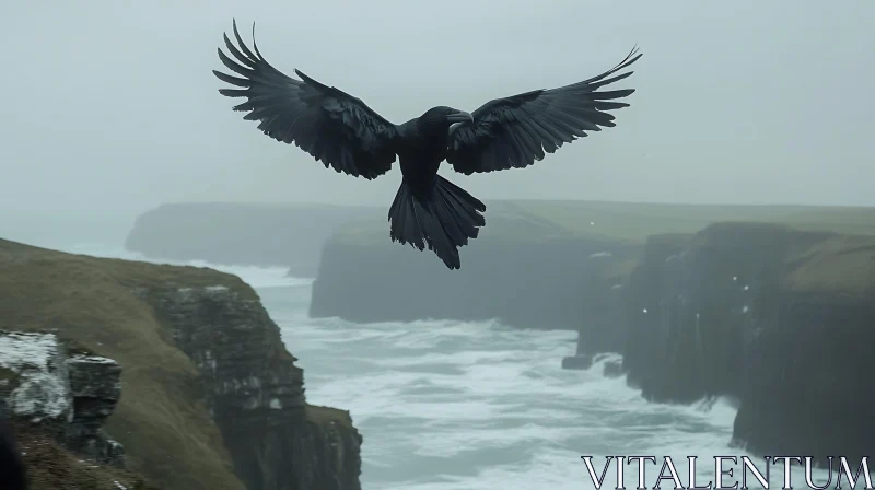 Raven's Flight Above the Cliffs of Moher AI Image