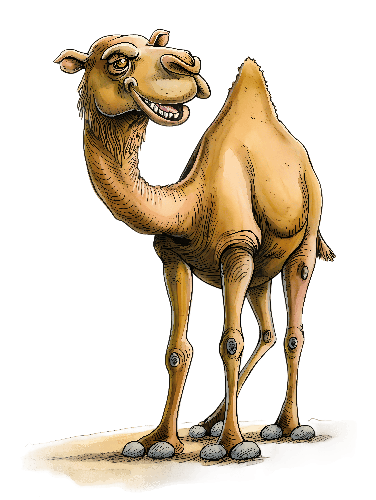 Joyful Cartoon Camel Illustration: Perfect for Children's Books or Mascots POD Design