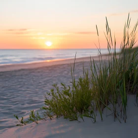 Coastal Sunrise Serenity