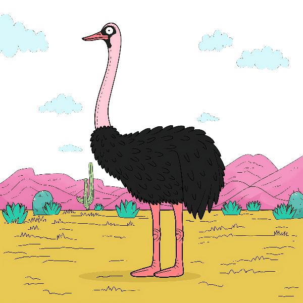 Humorous Ostrich Cartoon Illustration