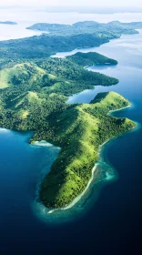 Aerial Island with Verdant Foliage and Blue Sea