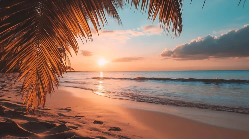 Coastal Sunset with Palm Trees