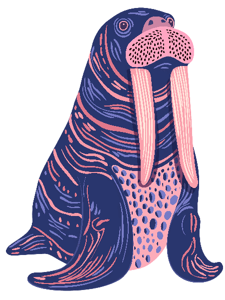 POD Design Elegant Walrus Illustration for Apparel