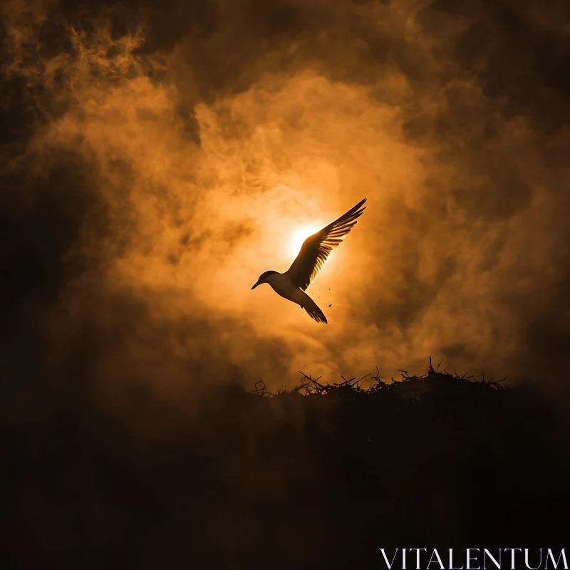 Silhouette of Bird Flying at Sunset AI Image