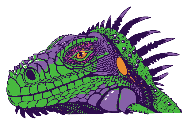 Colorful Iguana Head Design for T-Shirt Printing POD Design