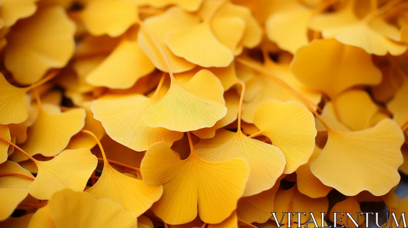 Autumn Ginkgo Leaves in Richly Layered Arrangement AI Image