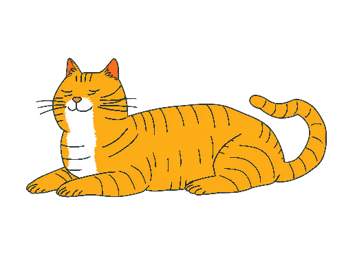 POD Design Ginger Cartoon Cat On Transparent Background