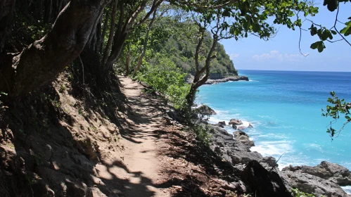 Cliffside Trail by a Stunning Turquoise Sea