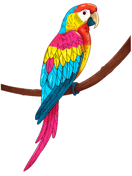 POD Design Colorful Tropical Parrot Art