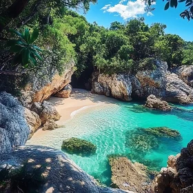 Tropical Beach Paradise with Lush Greenery