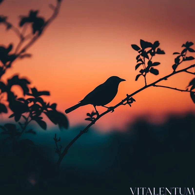 Sunset Bird on a Branch Silhouette AI Image