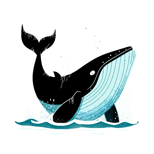 POD Design Playful Whale Illustration