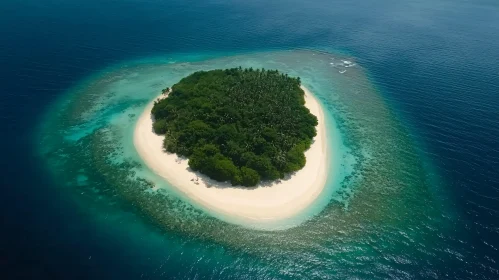 Tropical Island Aerial Photography