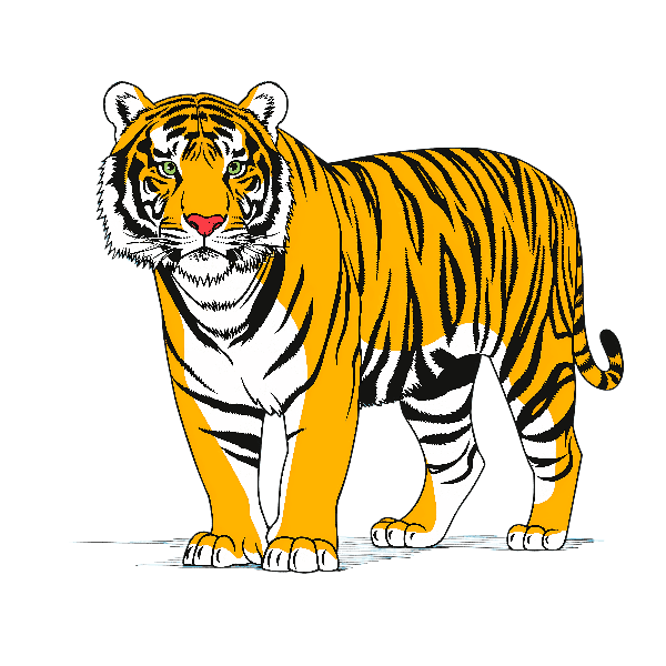 POD Design Wildlife Inspired Tiger Art Design