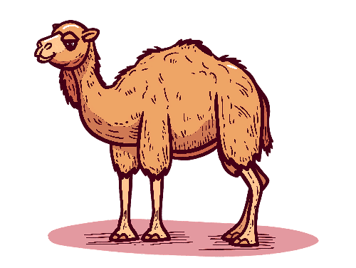 Cheerful Cartoon Camel on Transparent Background POD Design