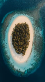 Tropical Island Aerial Photography