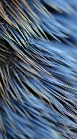 Exquisite Detail of Blue Chicken Feathers Close-Up