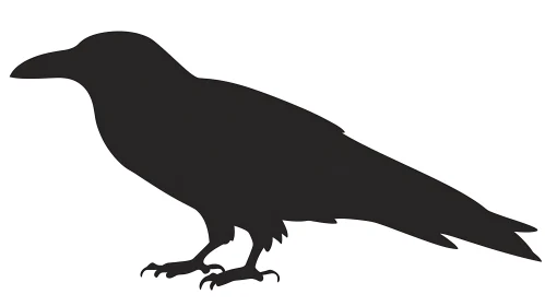 Black Raven Silhouette on White Backdrop