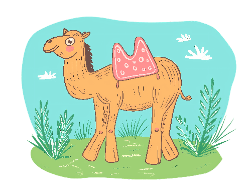 Cartoon Camel in Field - Children's Illustration POD Design