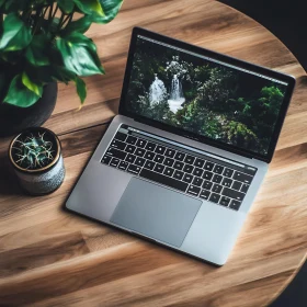 Modern Workspace with Silver Laptop and Green Plants