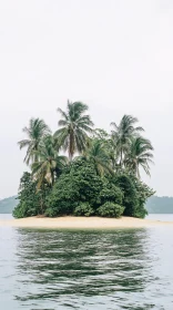 Tropical Oasis with Lush Palms